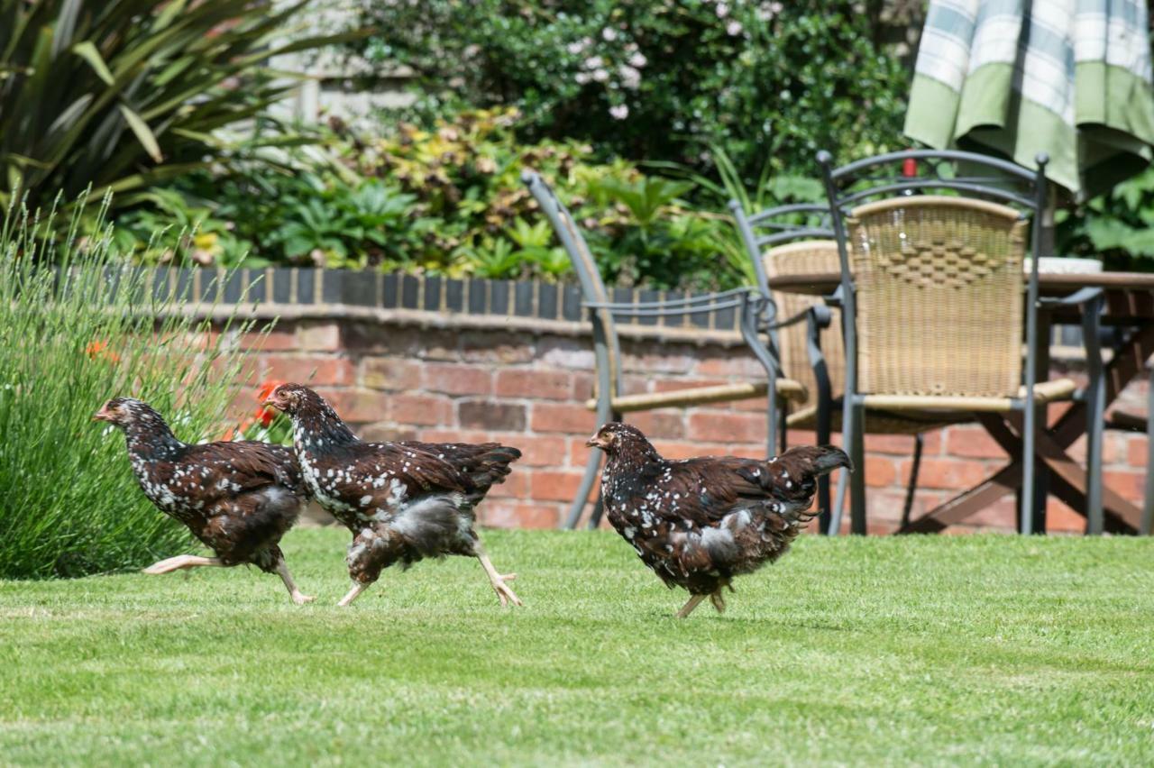 Bed and Breakfast Moreton Hall Farm Newport  Exterior foto