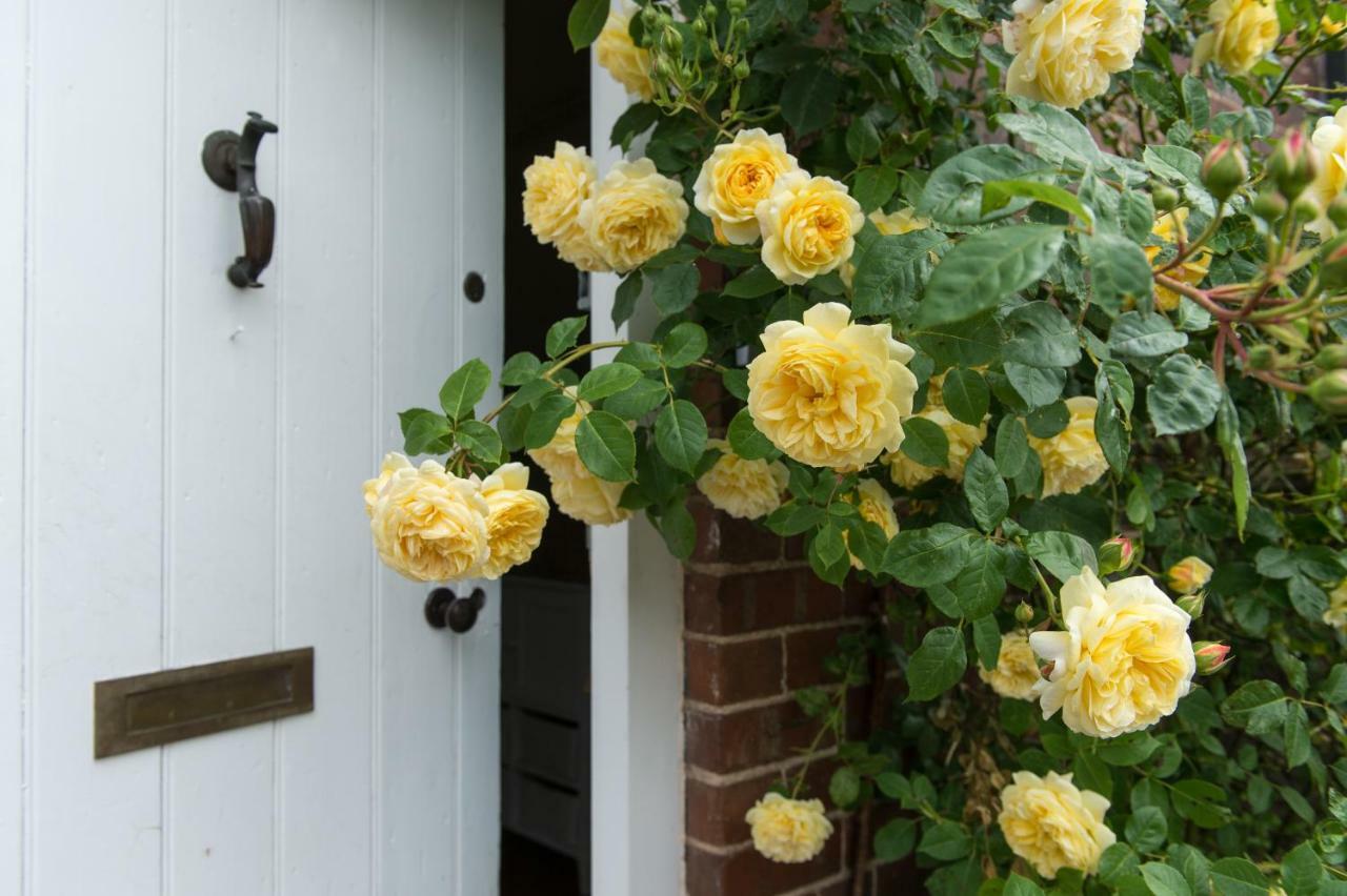 Bed and Breakfast Moreton Hall Farm Newport  Exterior foto